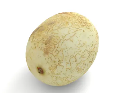 Honeydew Sunlady Melon - Photorealistic Scan Low-poly 3D model