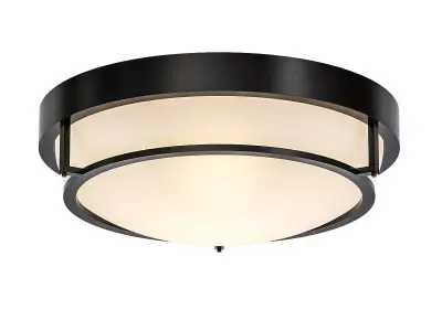 Flush Mount 3D model