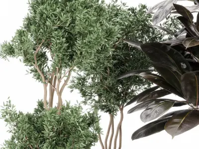 indoor plant set with plant tree concrete dirt vase  3D model