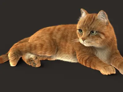  Cat (2) (Orange Tabby) (ANIMATED) (FUR) 