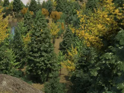 Mountain Forest Landscape 3D model