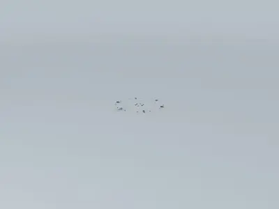 City Grid with no stop lights Free 3D model