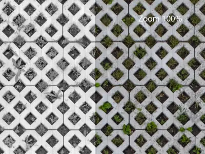 Seamless lawn parking material Texture