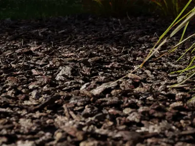Pine bark mulch 3D model
