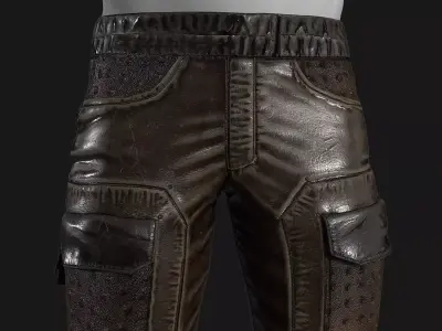 Fashionable Stylish Pants 3 colors Low-poly 3D model