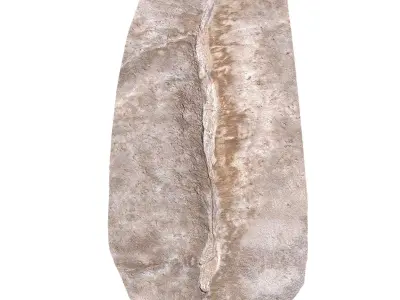 Trace of a stream 3D model