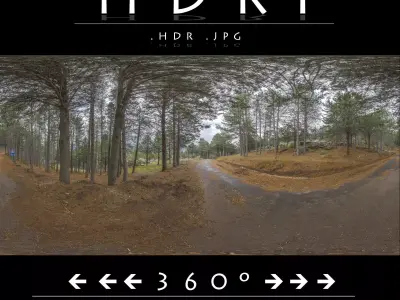 HDR ROAD FOREST  2 3D model