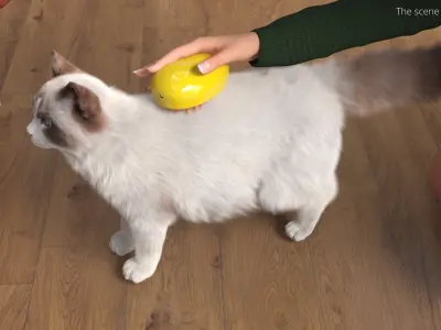  Long Hair Cat Grooming Brush Yellow Fur for Maya 