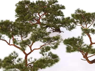 Tree 1 3D model