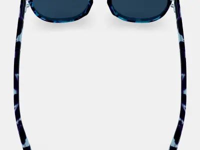 Sydney Sunglasses in Riverbed Tortoise 3D model