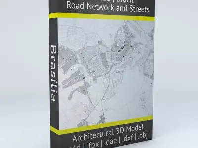 Brasilia Road Network and Streets 3D model