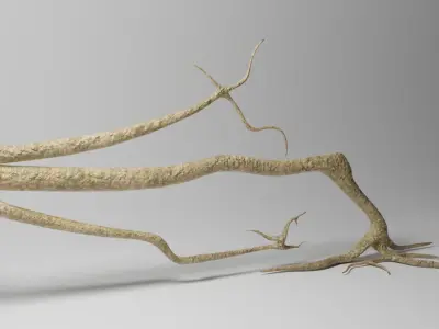 Roots or Vines Pack and 3D printable STL Low-poly 3D model