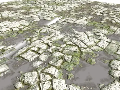 Old Mossy Floor Seamless 4 PBR Texture