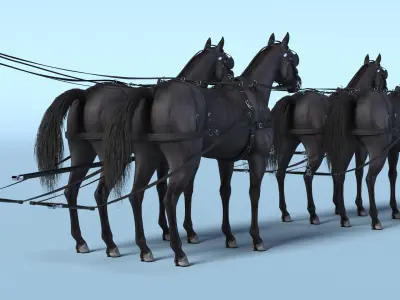  Four Black Horses in Breast Collar Harness 