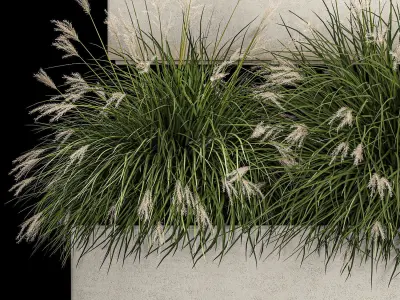 Bushes For Landscape Design Of Outdoor Flowerpots 1132 3D model