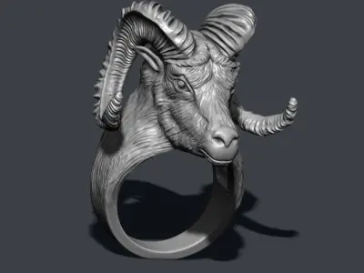 aries ring 3D print model