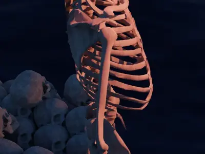 Skeleton on the water 3D model