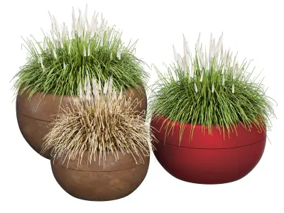 Aladin three potted grasses 3D model