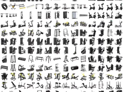 Mega Pack Ultimate Gym and Fitness Equipment 202 Models