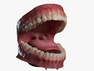  Mouth Rigged 3D 