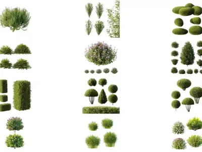 Excellent collection of Outdoor plants 50 Different Models 0046 3D Model Pack