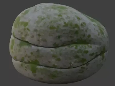 Stone Rock 3D Model 3D model