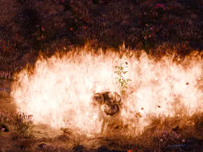 Field on fire 3D model