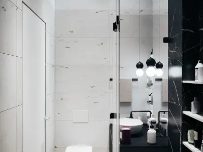 Bathroom Black and White 2017 3D Scene 3D model