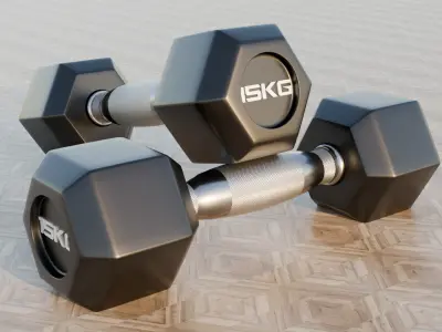 Dumbells 5-30KG  3D model