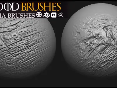 30 Wood Brush-Alpha-Blender Brush-Zbrush Brush-Vol 7 3D model