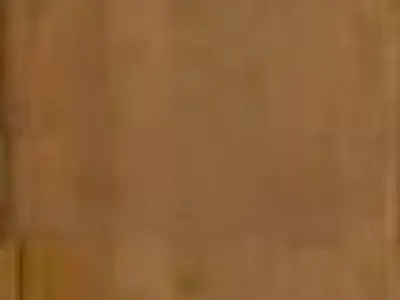 Door wooden wide 3D model