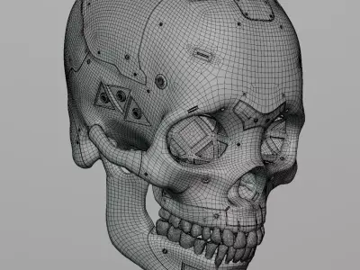 Robot Cranium 3D model