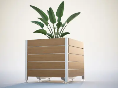 Green plant in a square pot 3D model