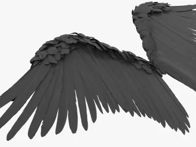  Feathered Angel Wings Black 