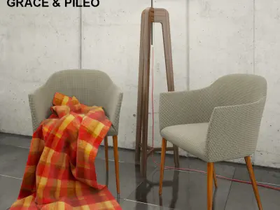 Porada Grace and Porada Pileo 3D model