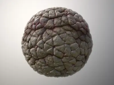 Material Skin Monster 37 Seamless PBR Texture Texture