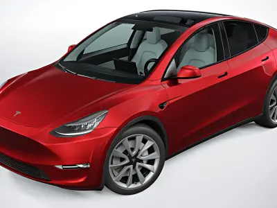  2021 Tesla Model Y 