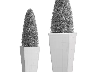 Decorative tree Thuja  Boxwood Pine in garden vase Patio Porch   3D model