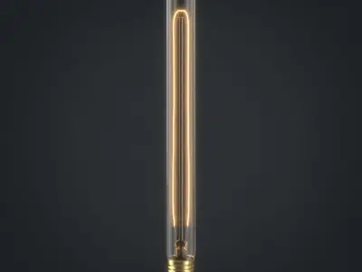 Light bulb 21 3D model