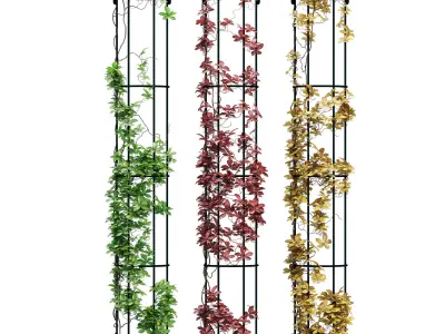 Drainpipe trellis 3D model