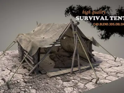 Survival Tent v6 3D model