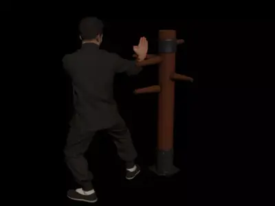 Wing Chun  3D model