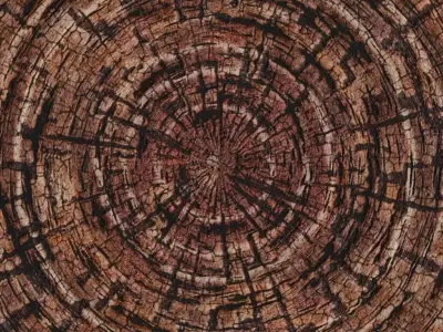 Charred Ancient Tree Log End PBR Seamless Texture