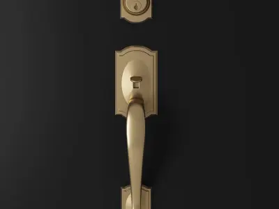 Entry Door Handle 3D model