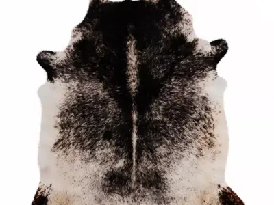 Black And White Cow Hide Rug 3D model