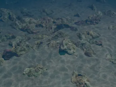  Sea Floor 