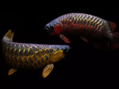 Arowana dragon fish Low-poly 3D model