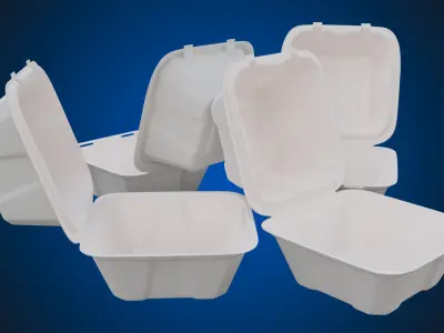 Compostable Food Container - Disposable 3D model