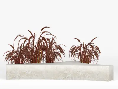 Folia bench Graceful Fountain Grass 3D model