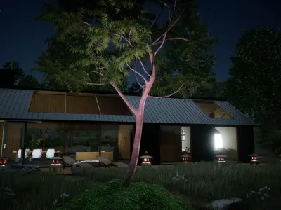 Japanese Walnut Tree Free 3D model